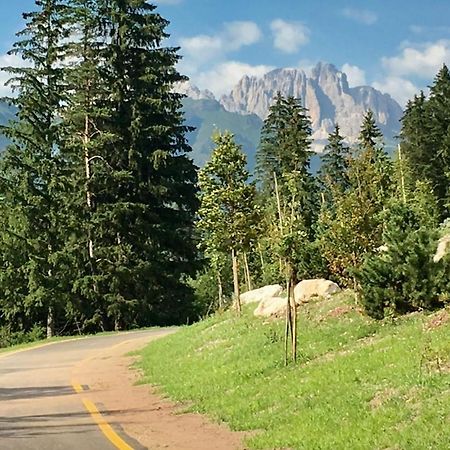 Garni Villa Elsa Поца ди Фаса Екстериор снимка