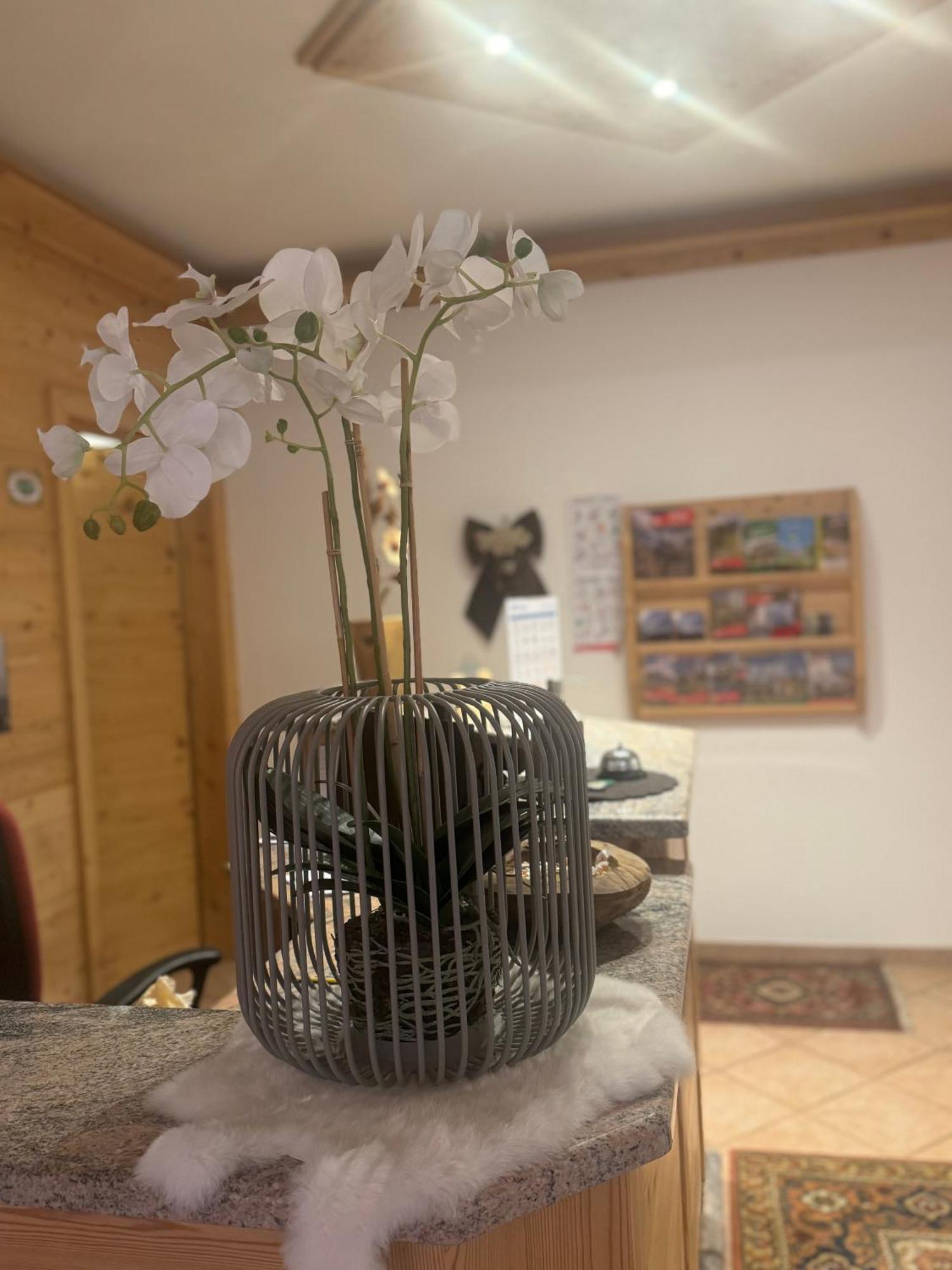 Garni Villa Elsa Поца ди Фаса Екстериор снимка